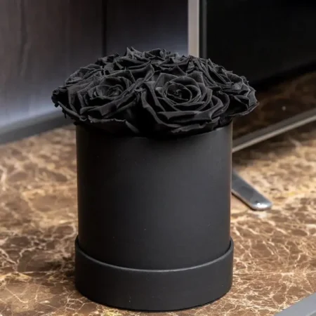 Basic Black Box