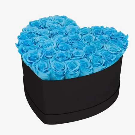 Heart Black Box