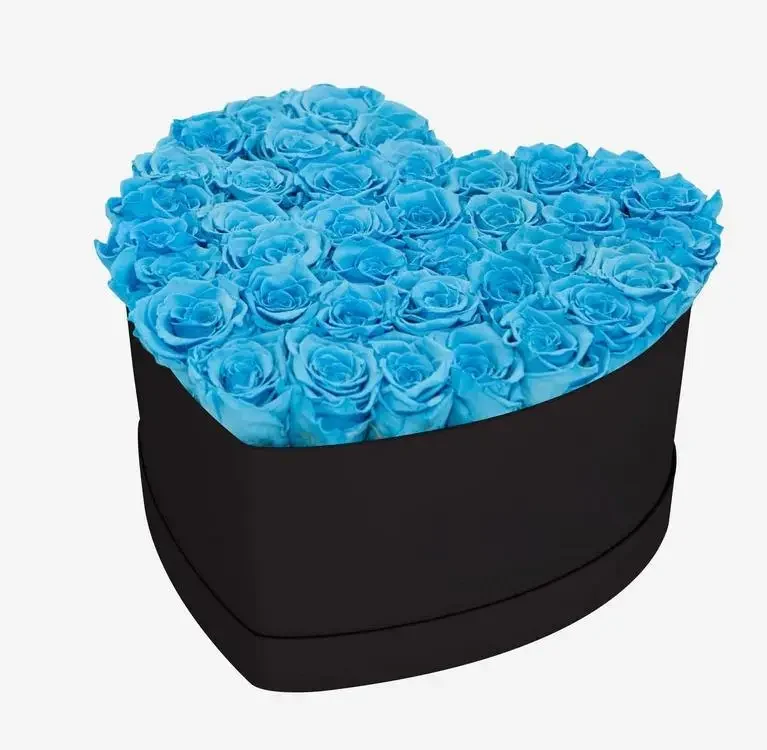 Heart Black Box