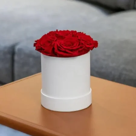 Basic White Box