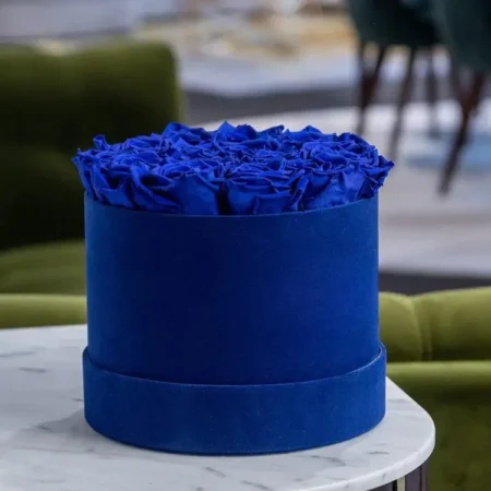 Classic Royal Blue Suede Box