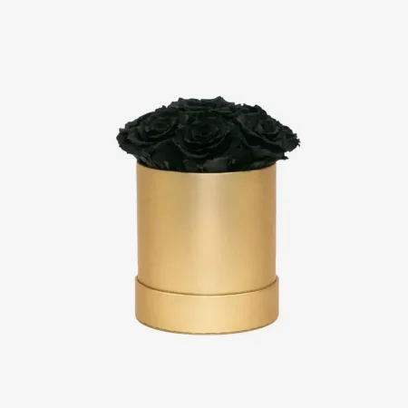 Basic Gold Box