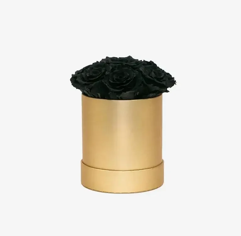 Basic Gold Box