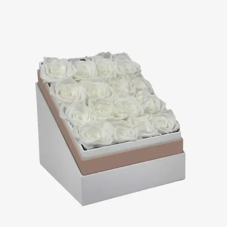 Square White Box