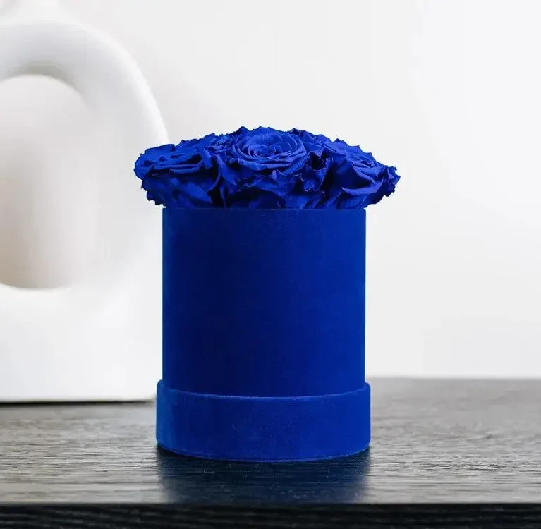 Basic Royal Blue Suede Box