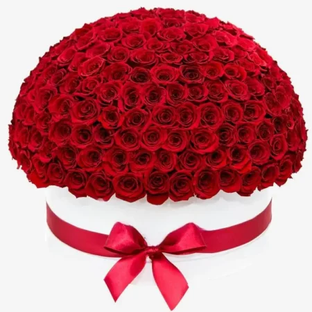 Deluxe White Dome Box | Bright Red Roses