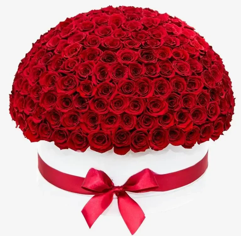 Deluxe White Dome Box | Bright Red Roses