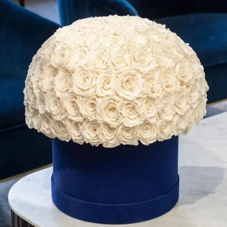 Supreme Royal Blue Suede Superdome Box